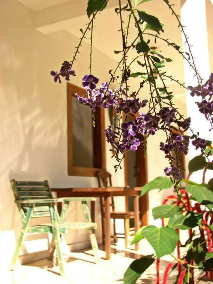 Pousada Villa Da Gama Параті Номер фото